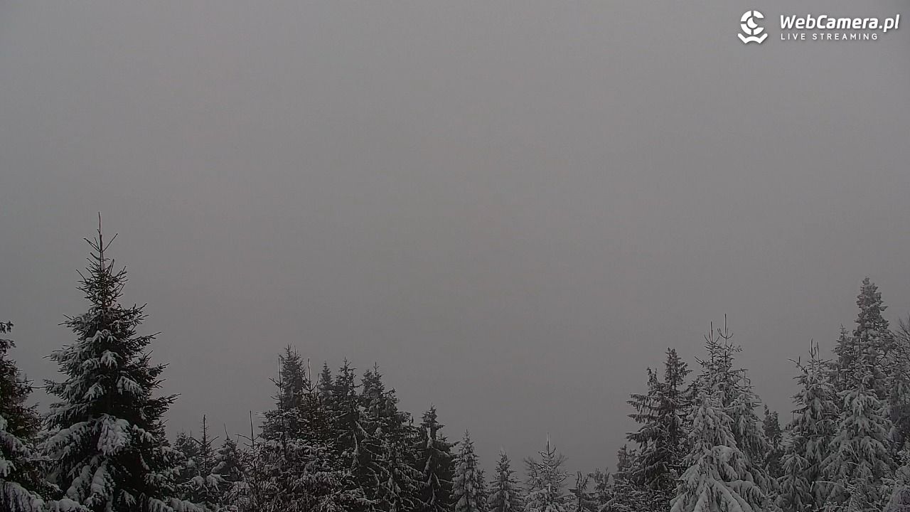 Turbacz - Gorce - 10 styczeń 2026, 10:58