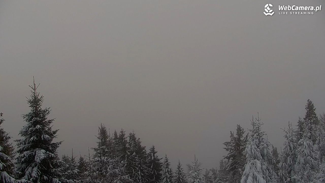 Turbacz - Gorce - 14 styczeń 2026, 07:47