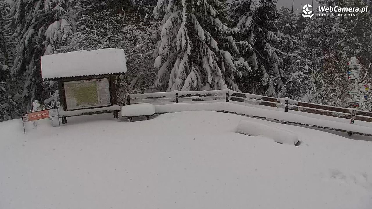 Turbacz - Gorce - 13 styczeń 2026, 10:26