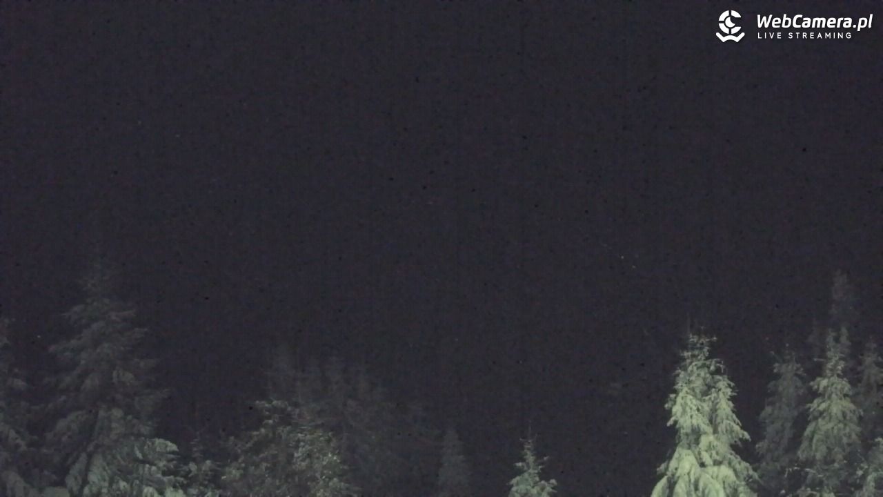 Turbacz - Gorce - 11 styczeń 2026, 21:01