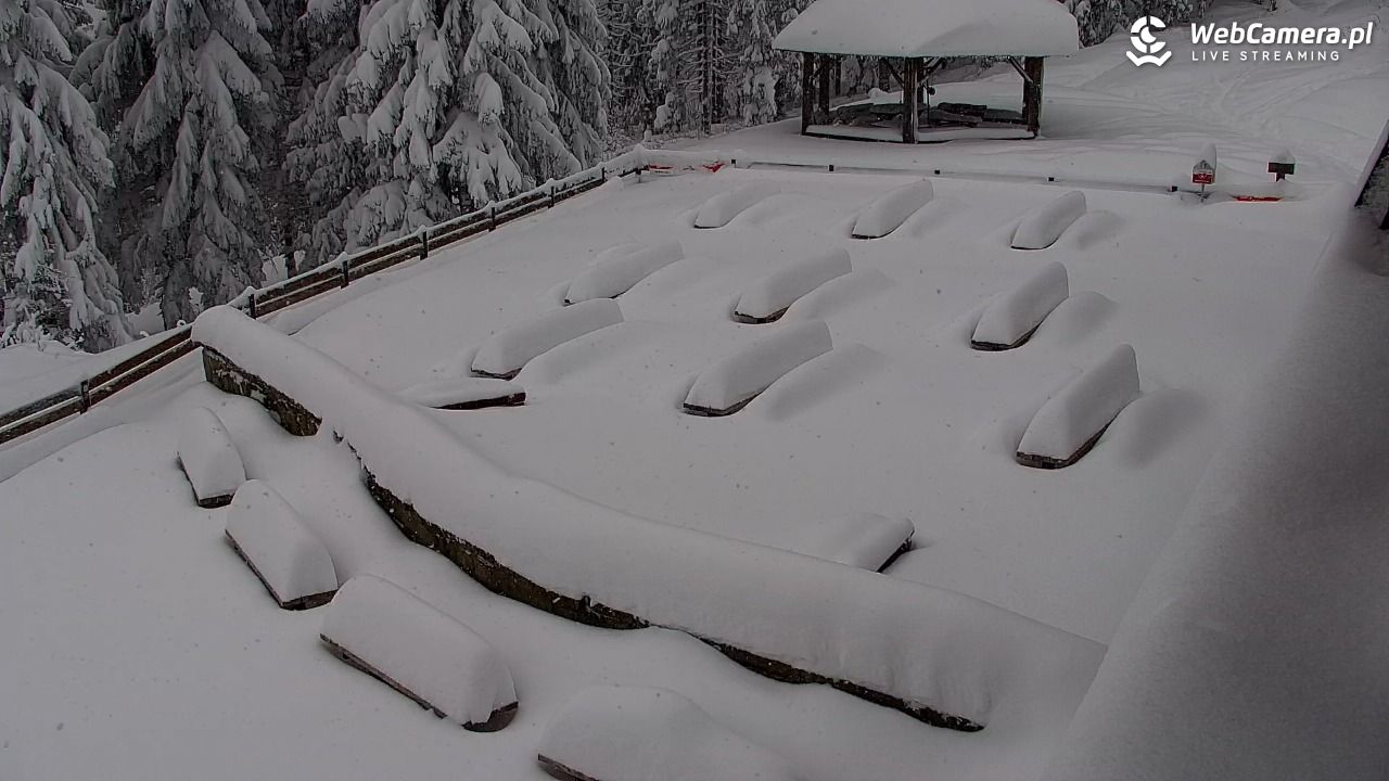 Turbacz - Gorce - 12 styczeń 2026, 10:50