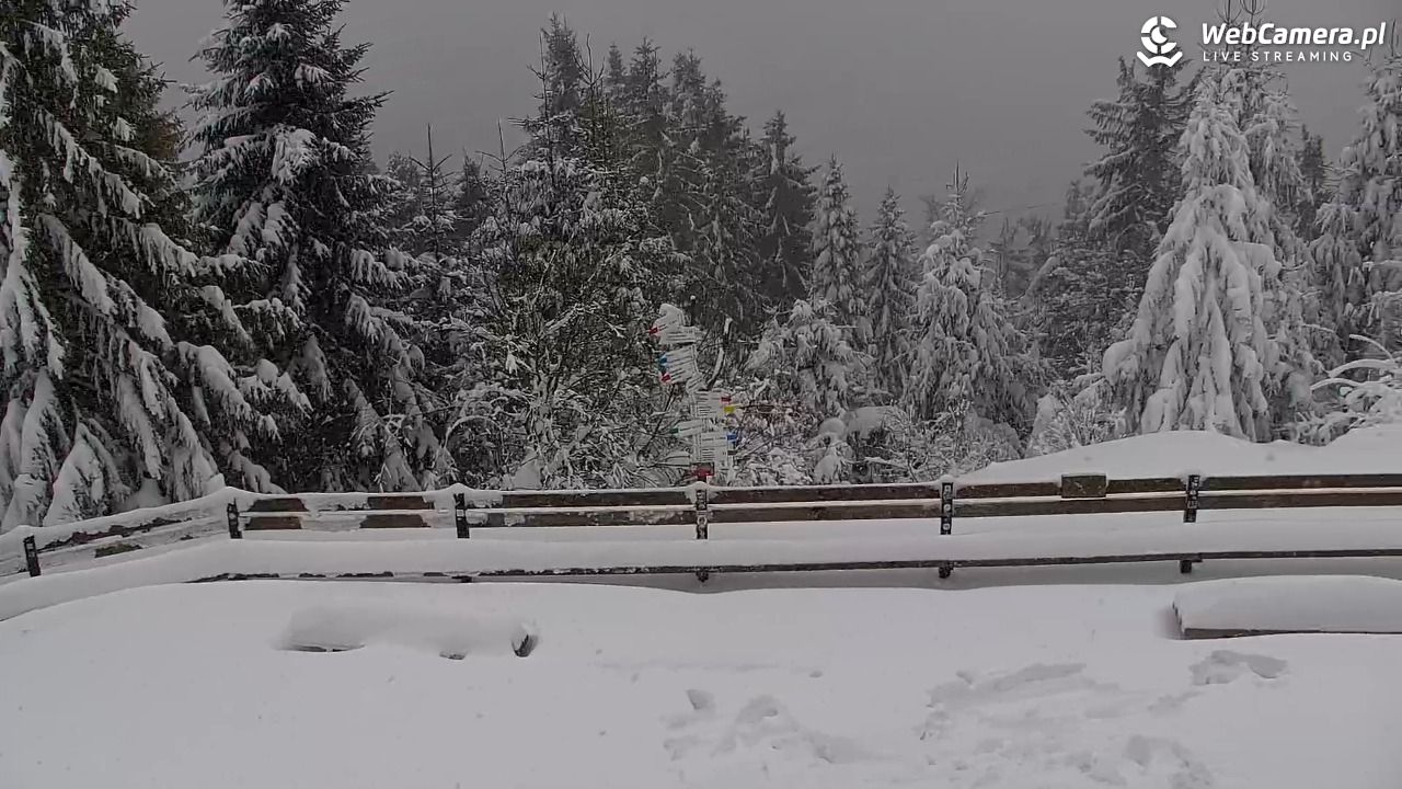 Turbacz - Gorce - 13 styczeń 2026, 13:32