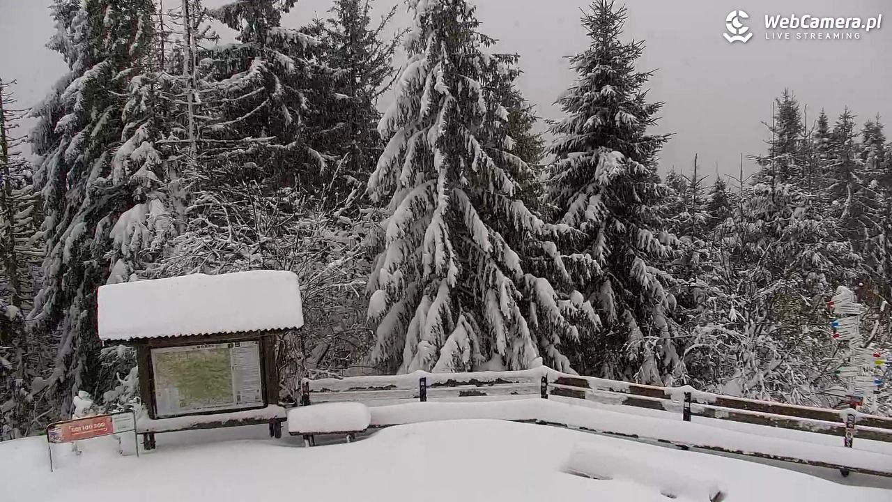 Turbacz - Gorce - 13 styczeń 2026, 15:19