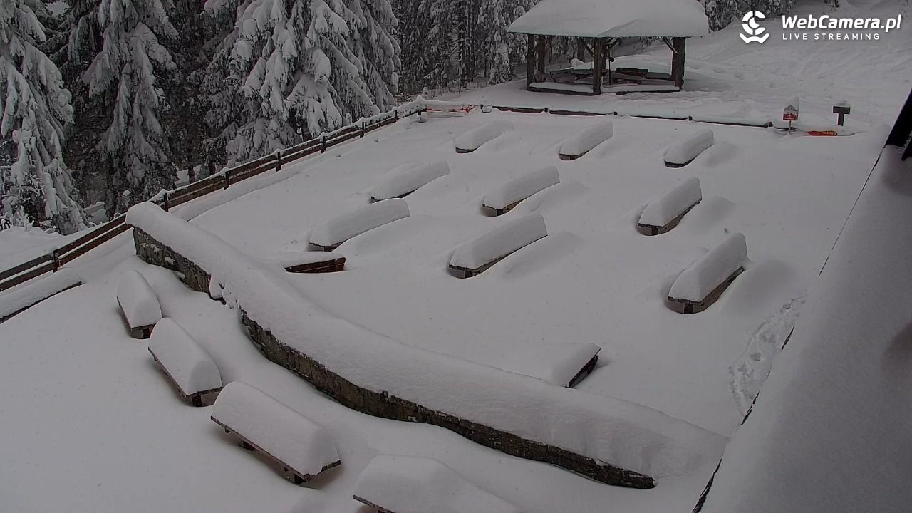 Turbacz - Gorce - 13 styczeń 2026, 12:50