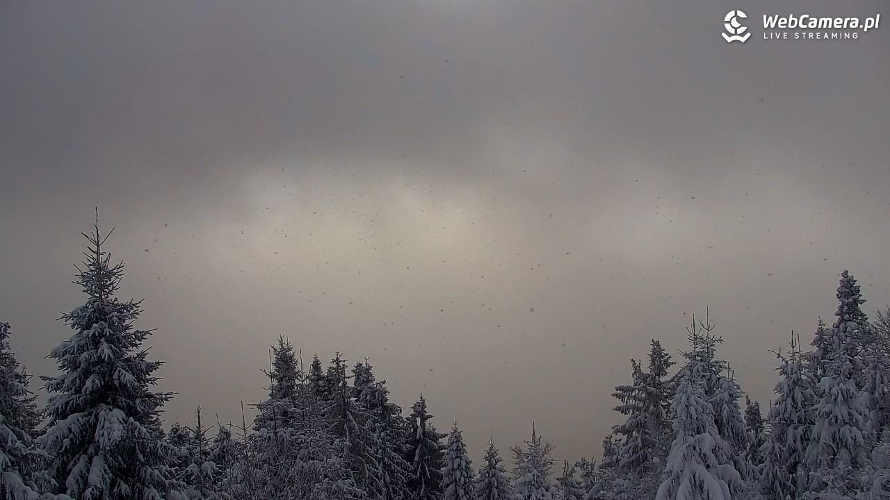 Turbacz - Gorce - 12 styczeń 2026, 10:30