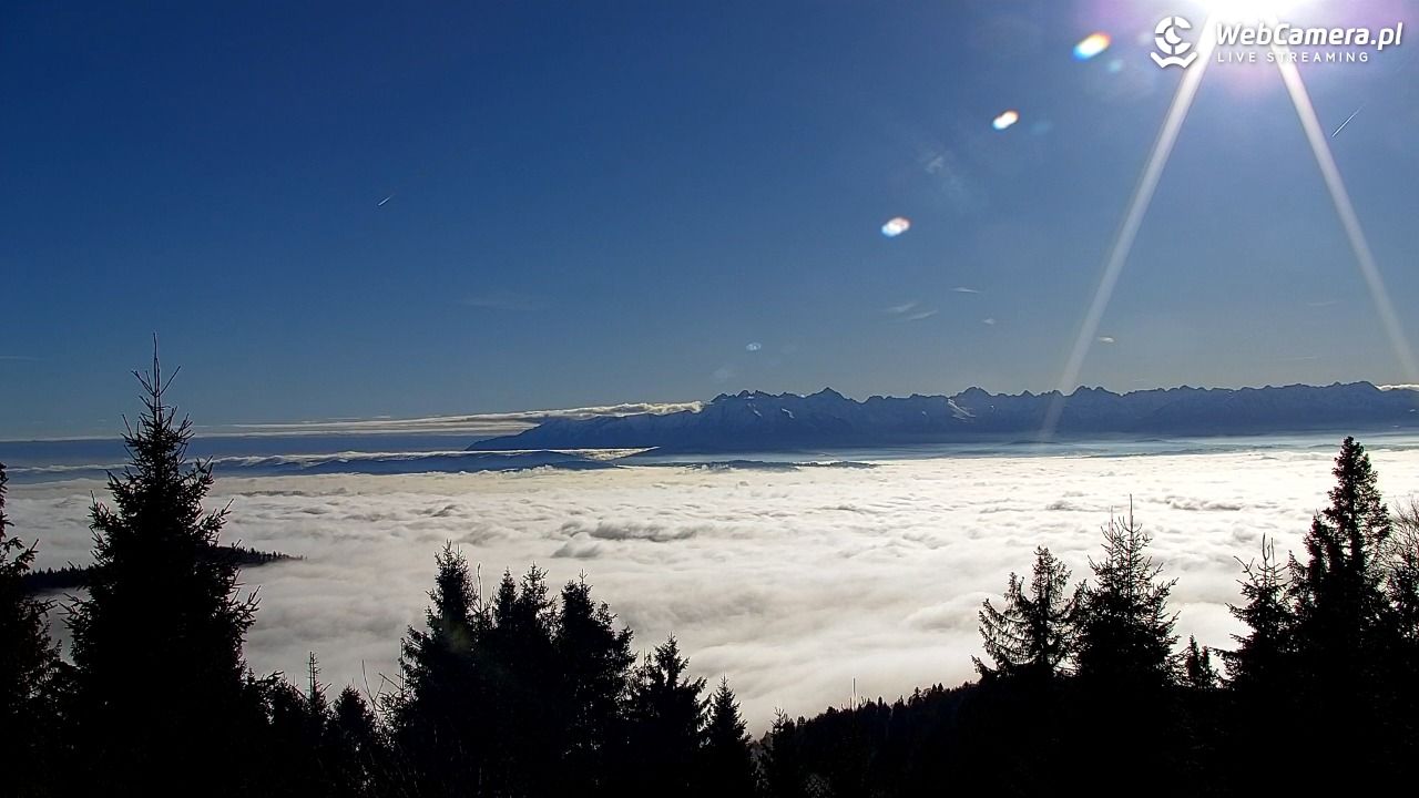 Turbacz - Gorce - 22 grudzień 2025, 12:16