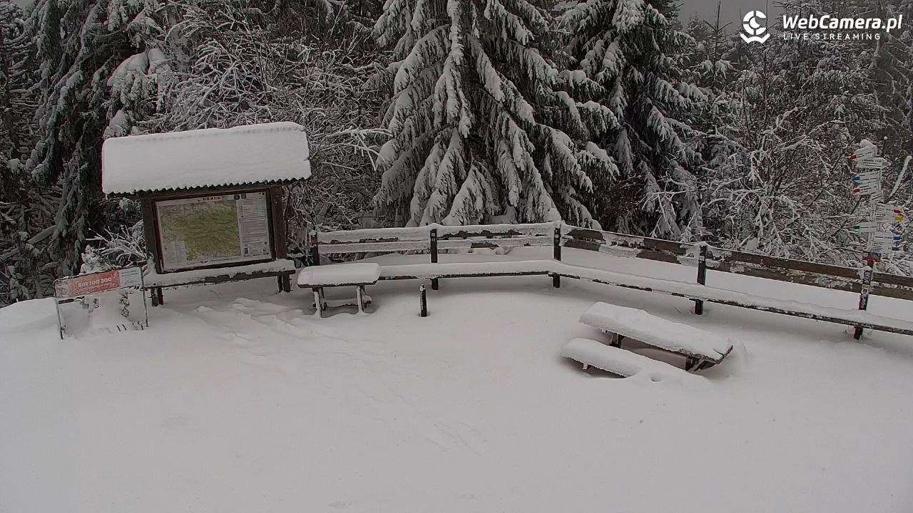 Turbacz - Gorce - 11 styczeń 2026, 09:07
