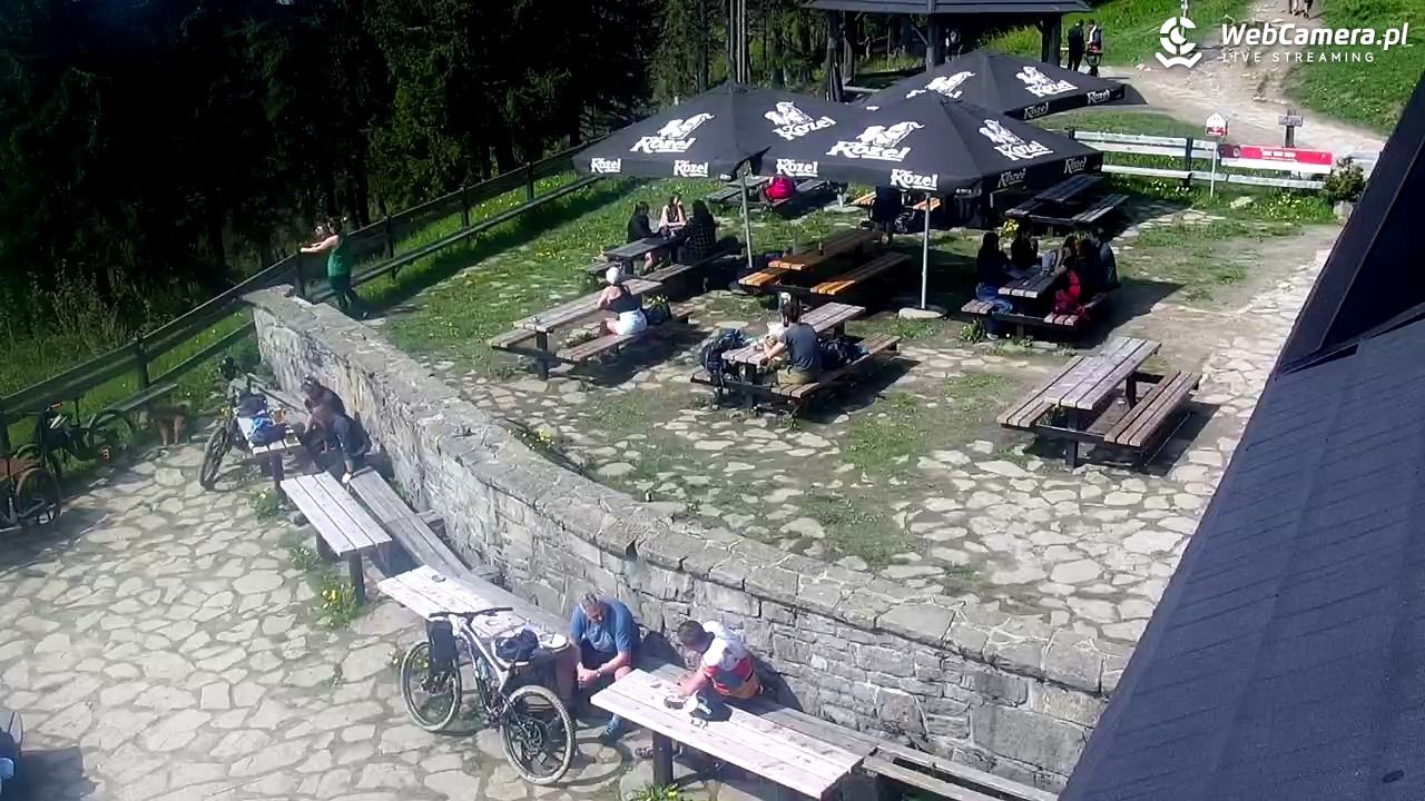 Turbacz - Gorce - 01 czerwiec 2025, 09:57