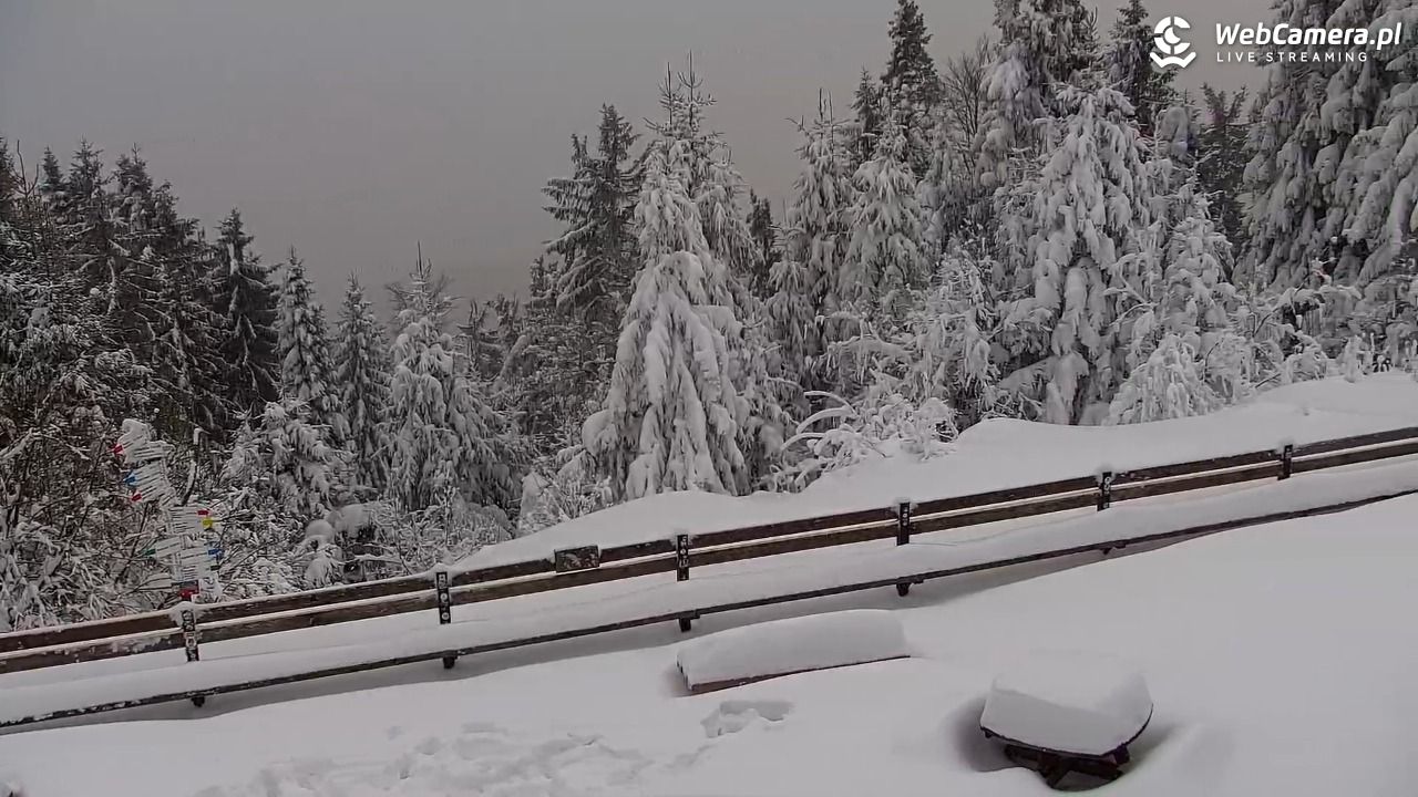Turbacz - Gorce - 13 styczeń 2026, 15:26