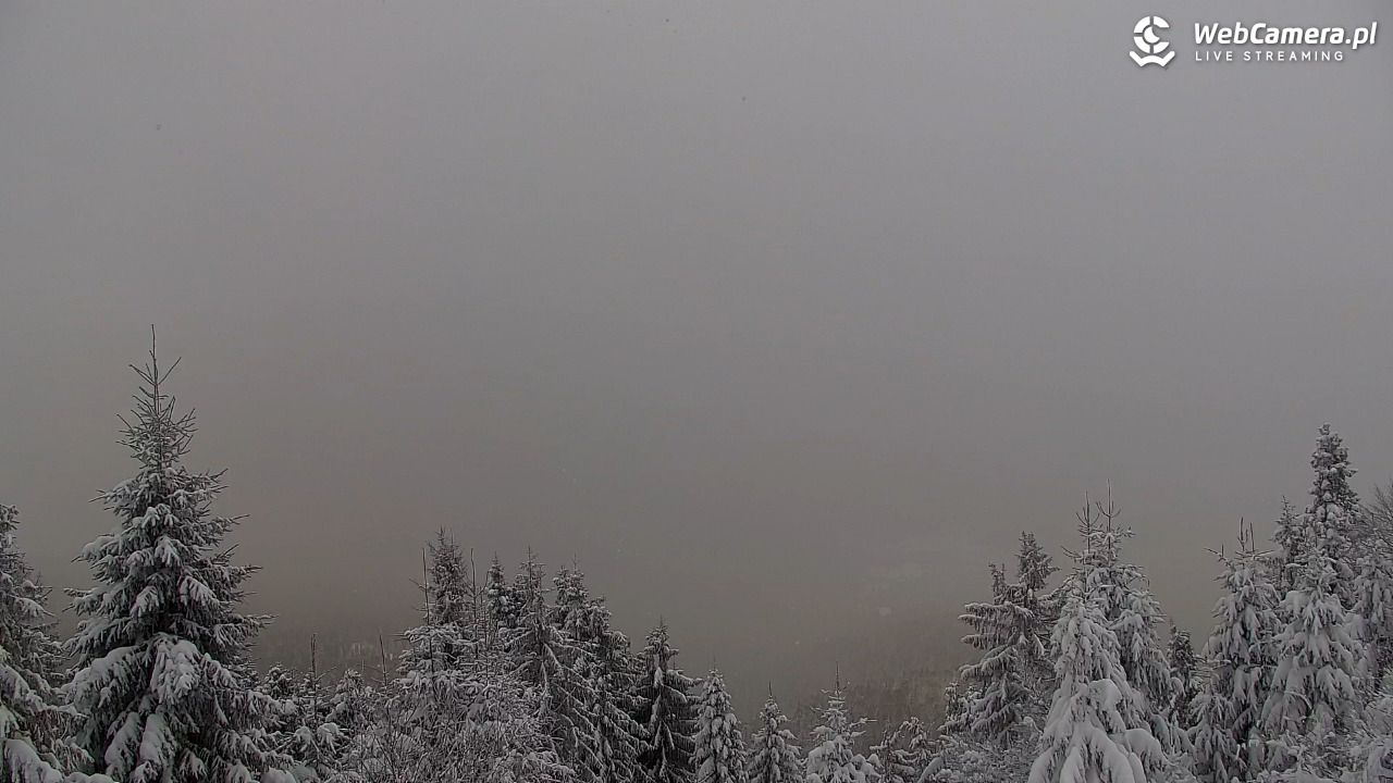 Turbacz - Gorce - 12 styczeń 2026, 13:23