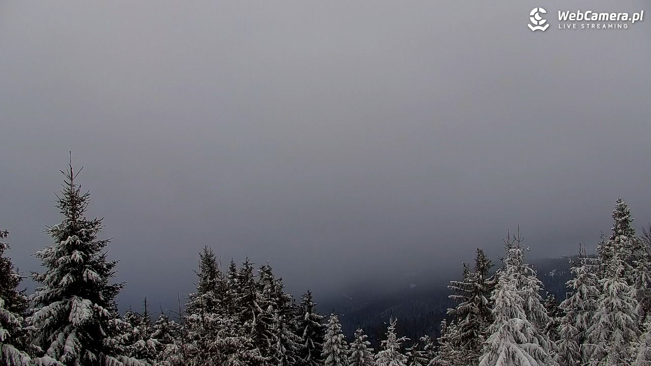 Turbacz - Gorce - 10 styczeń 2026, 08:59