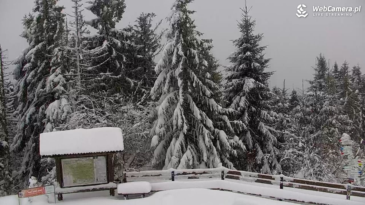Turbacz - Gorce - 13 styczeń 2026, 15:20