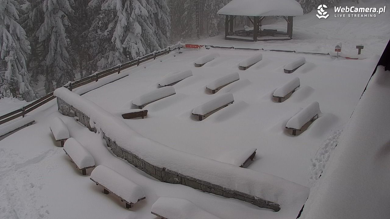 Turbacz - Gorce - 14 styczeń 2026, 11:58