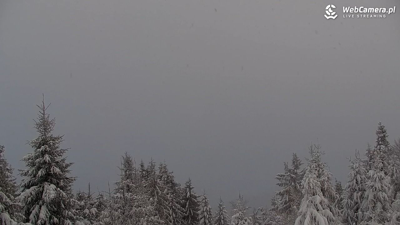 Turbacz - Gorce - 12 styczeń 2026, 07:52