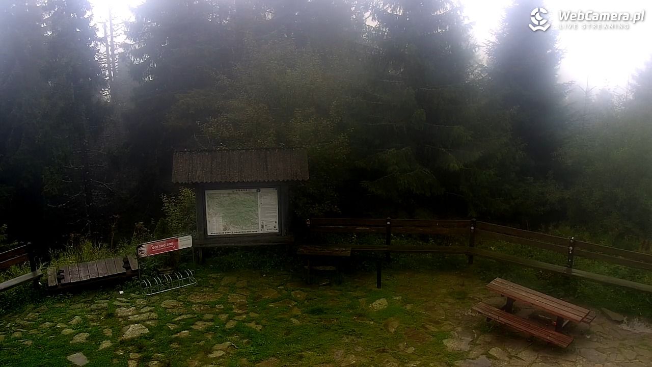 Turbacz - Gorce - 17 wresień 2025, 11:59