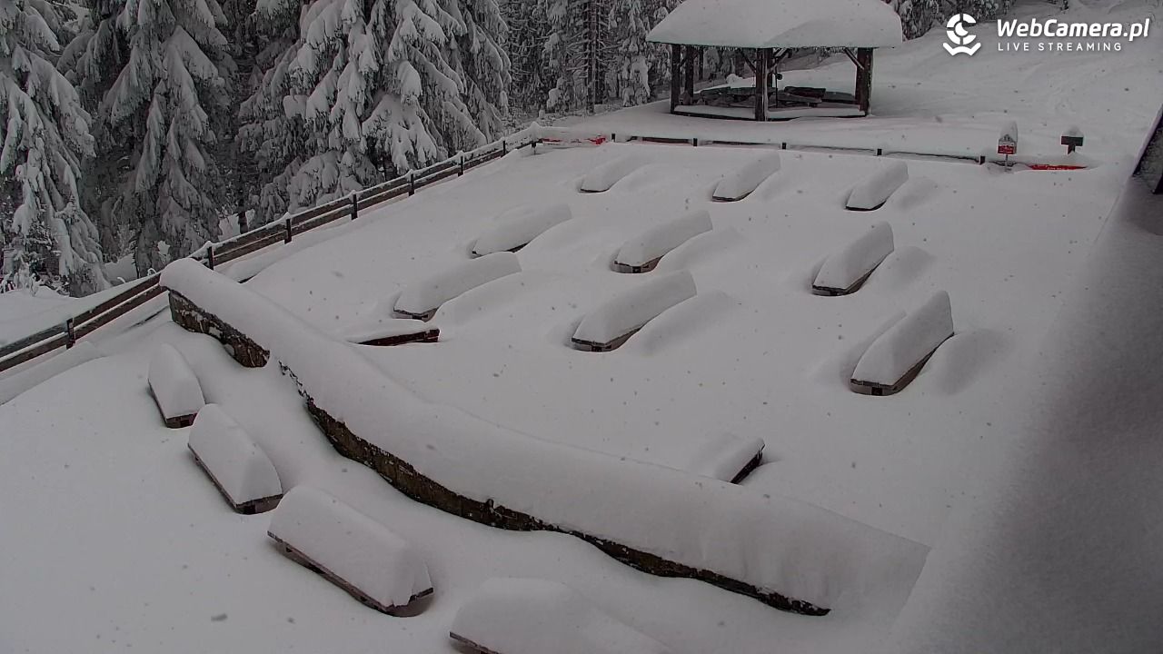 Turbacz - Gorce - 12 styczeń 2026, 08:05