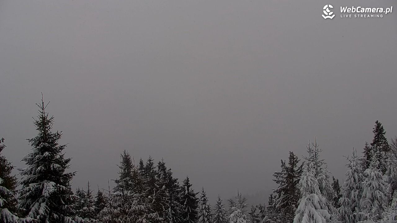 Turbacz - Gorce - 13 styczeń 2026, 11:07