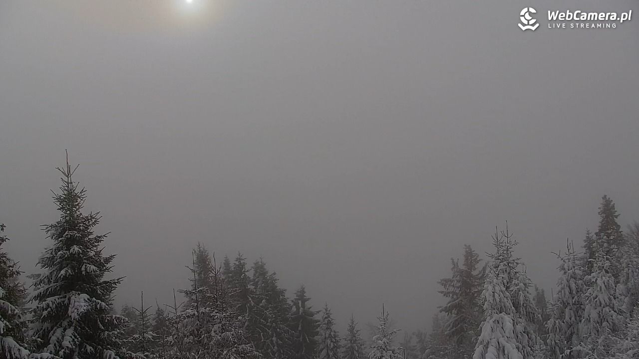 Turbacz - Gorce - 14 styczeń 2026, 10:18