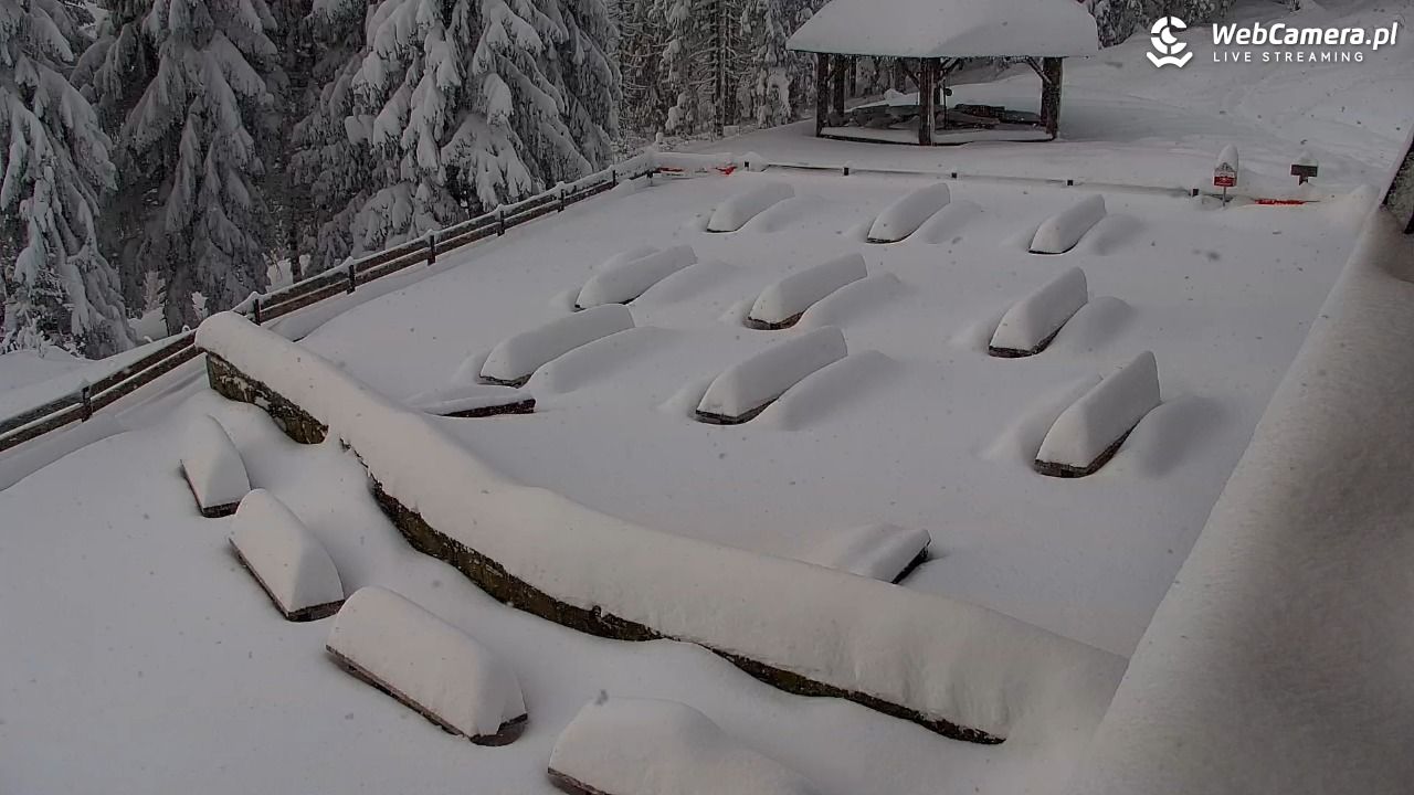 Turbacz - Gorce - 12 styczeń 2026, 09:30