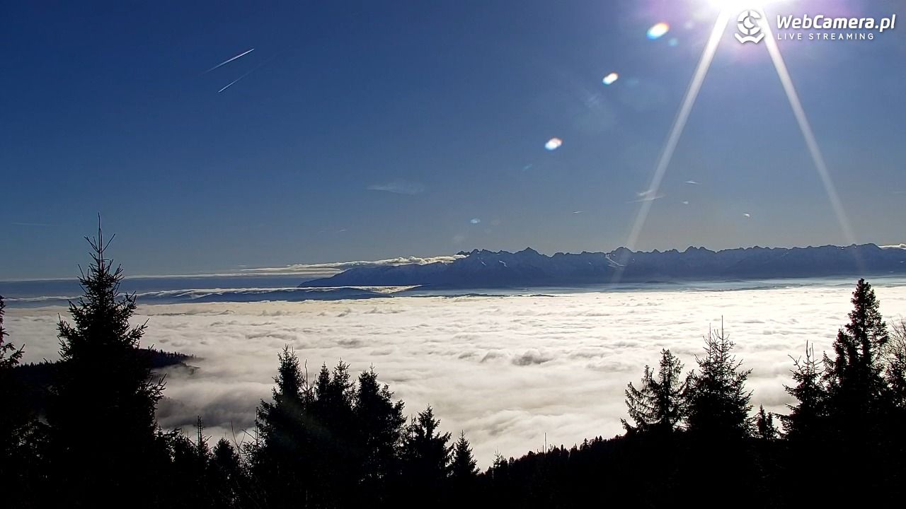 Turbacz - Gorce - 22 grudzień 2025, 12:04