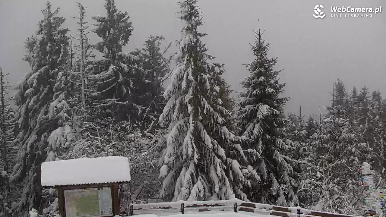 Turbacz - Gorce - 13 styczeń 2026, 16:04