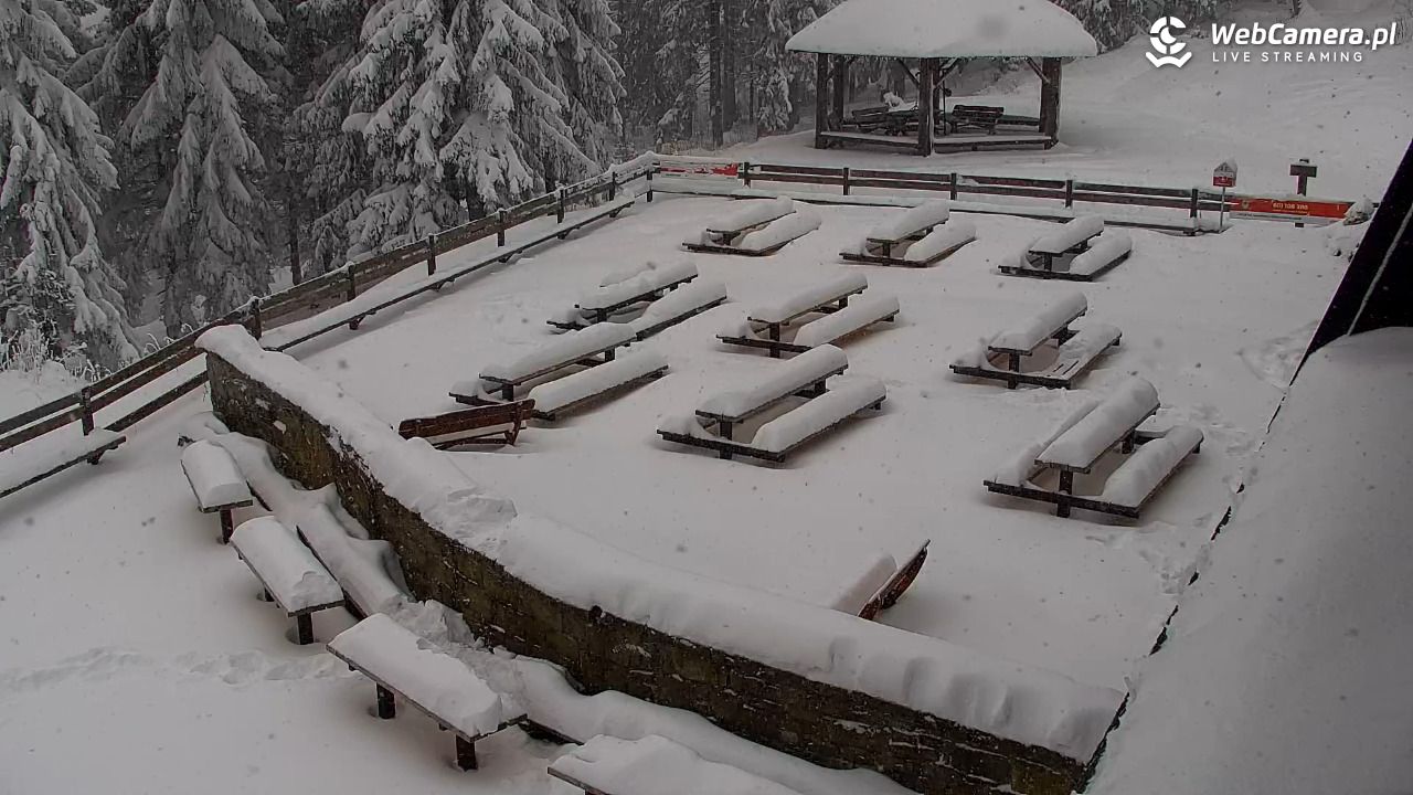Turbacz - Gorce - 11 styczeń 2026, 11:06
