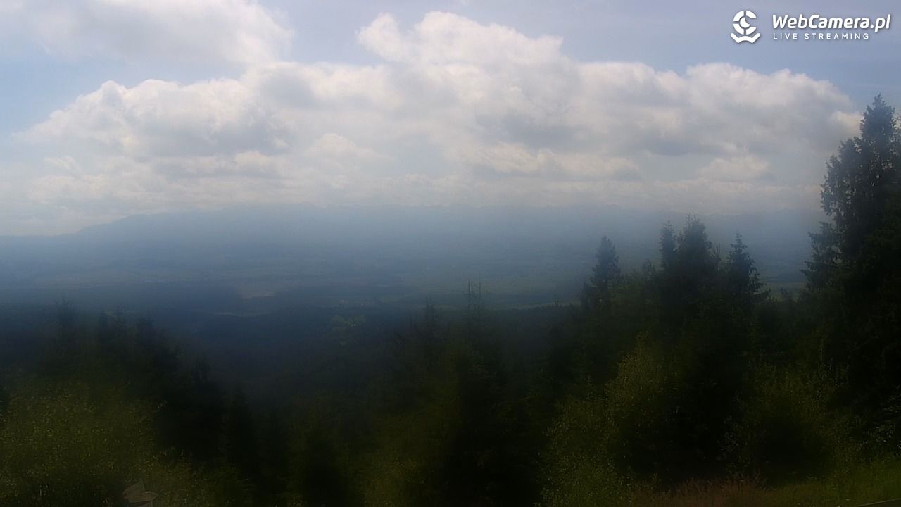 Turbacz - Gorce - 01 sierpień 2025, 11:28