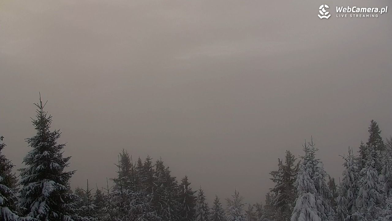 Turbacz - Gorce - 14 styczeń 2026, 08:02