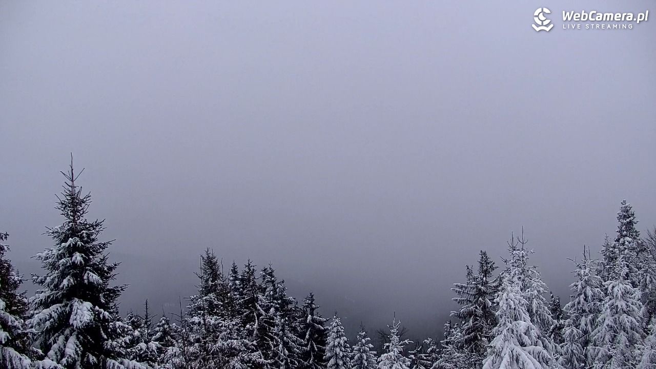 Turbacz - Gorce - 10 styczeń 2026, 07:15