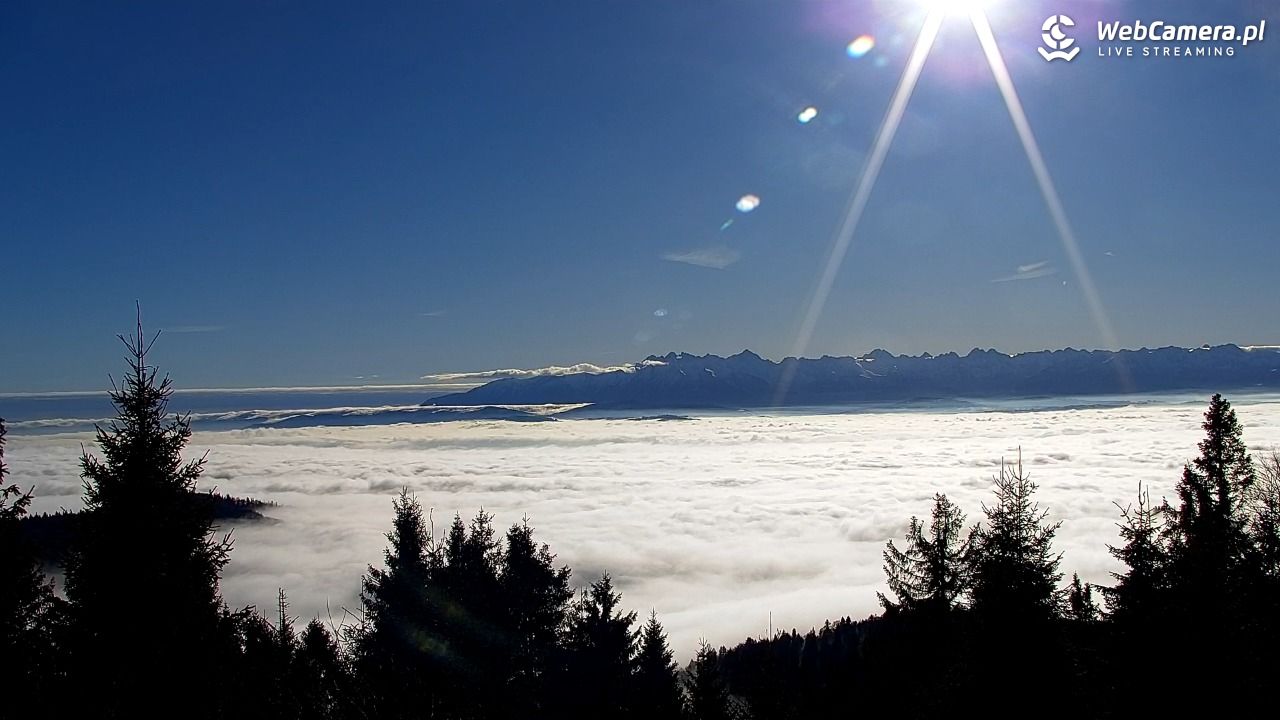 Turbacz - Gorce - 22 grudzień 2025, 11:48