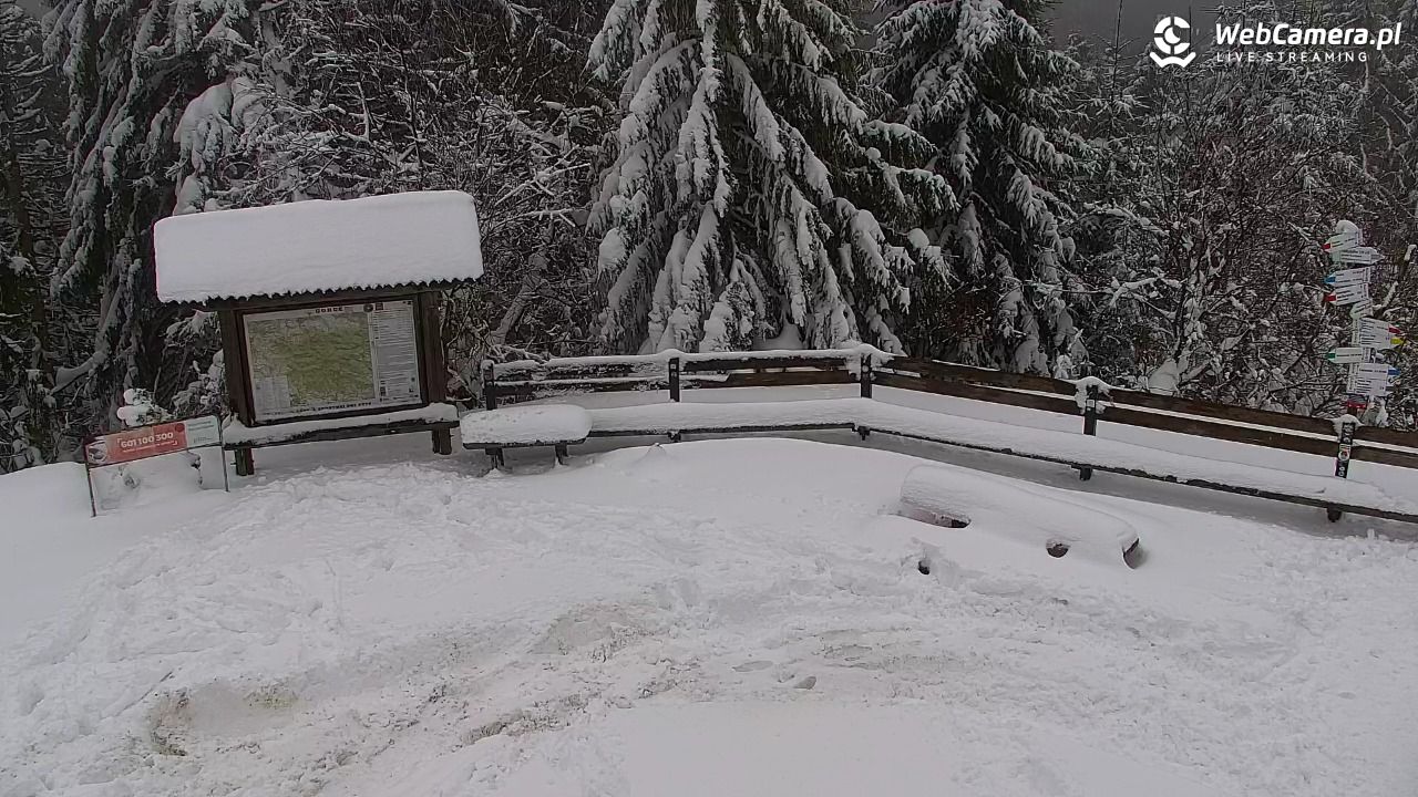 Turbacz - Gorce - 15 styczeń 2026, 13:14