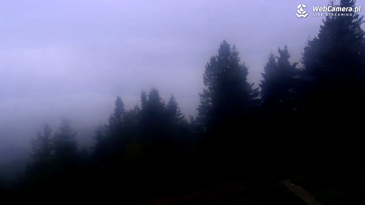 Turbacz - Gorce - 14 wresień 2025, 11:31