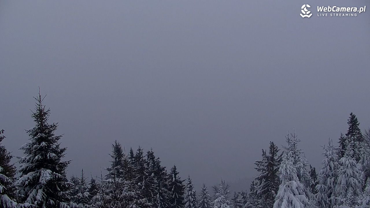 Turbacz - Gorce - 13 styczeń 2026, 07:30