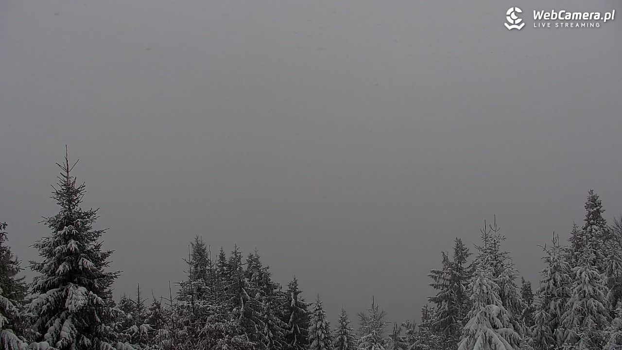 Turbacz - Gorce - 11 styczeń 2026, 08:58