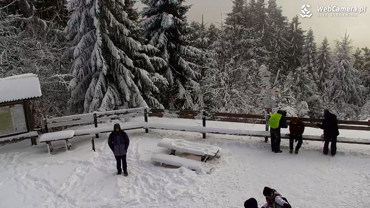 Turbacz - Gorce - 10 styczeń 2026, 13:51