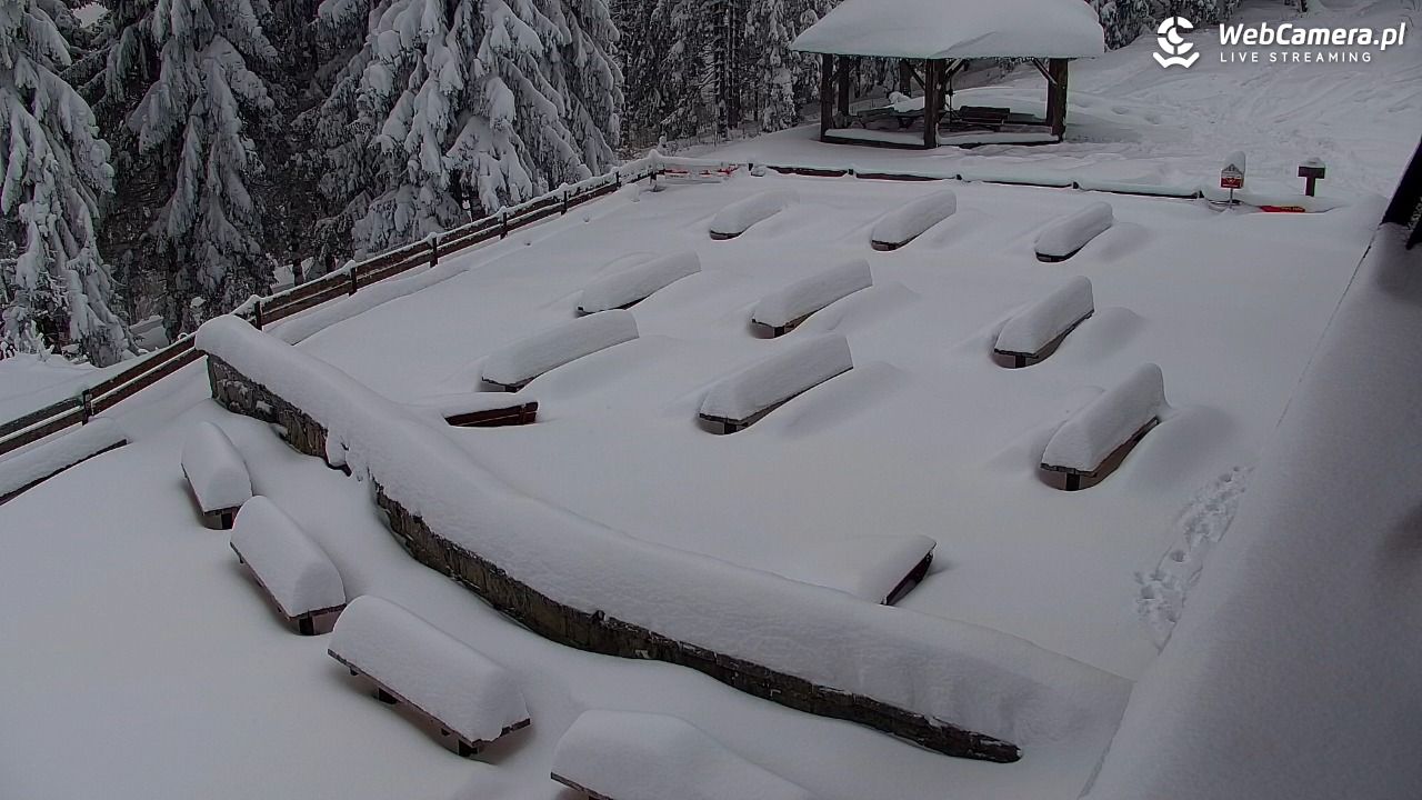 Turbacz - Gorce - 13 styczeń 2026, 15:44