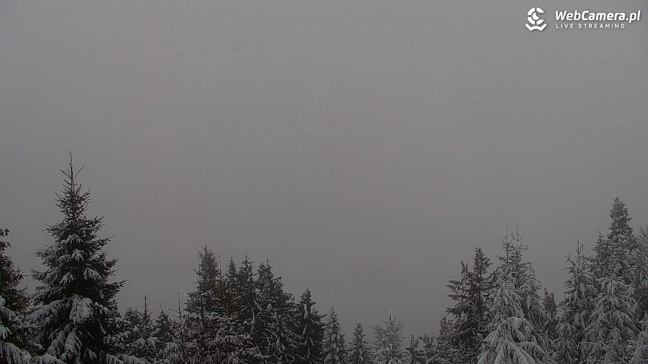 Turbacz - Gorce - 10 styczeń 2026, 10:58