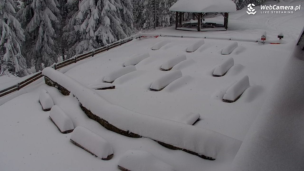 Turbacz - Gorce - 12 styczeń 2026, 11:07