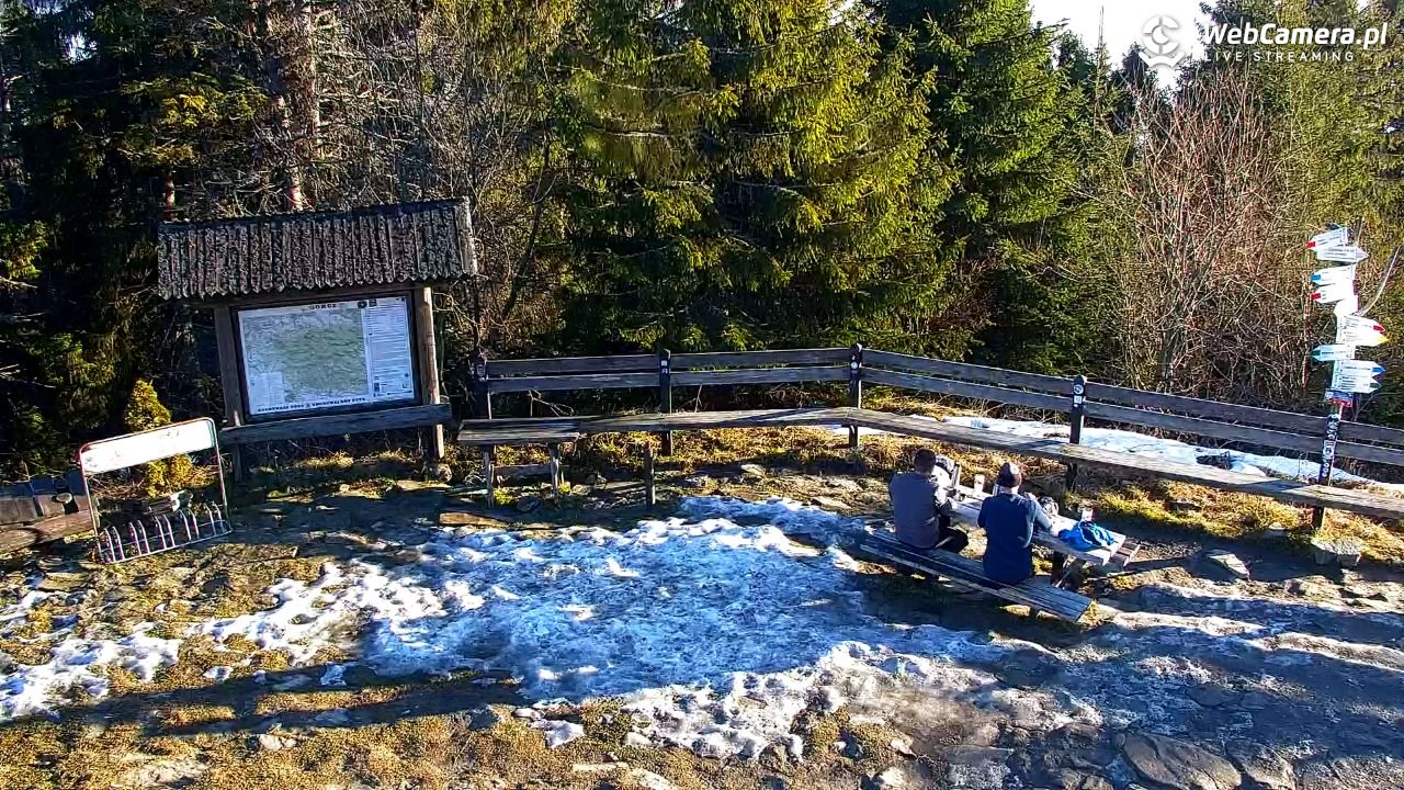 Turbacz - Gorce - 22 grudzień 2025, 14:04