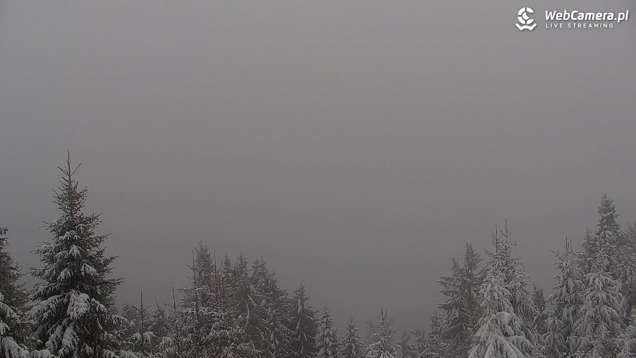 Turbacz - Gorce - 11 styczeń 2026, 09:06