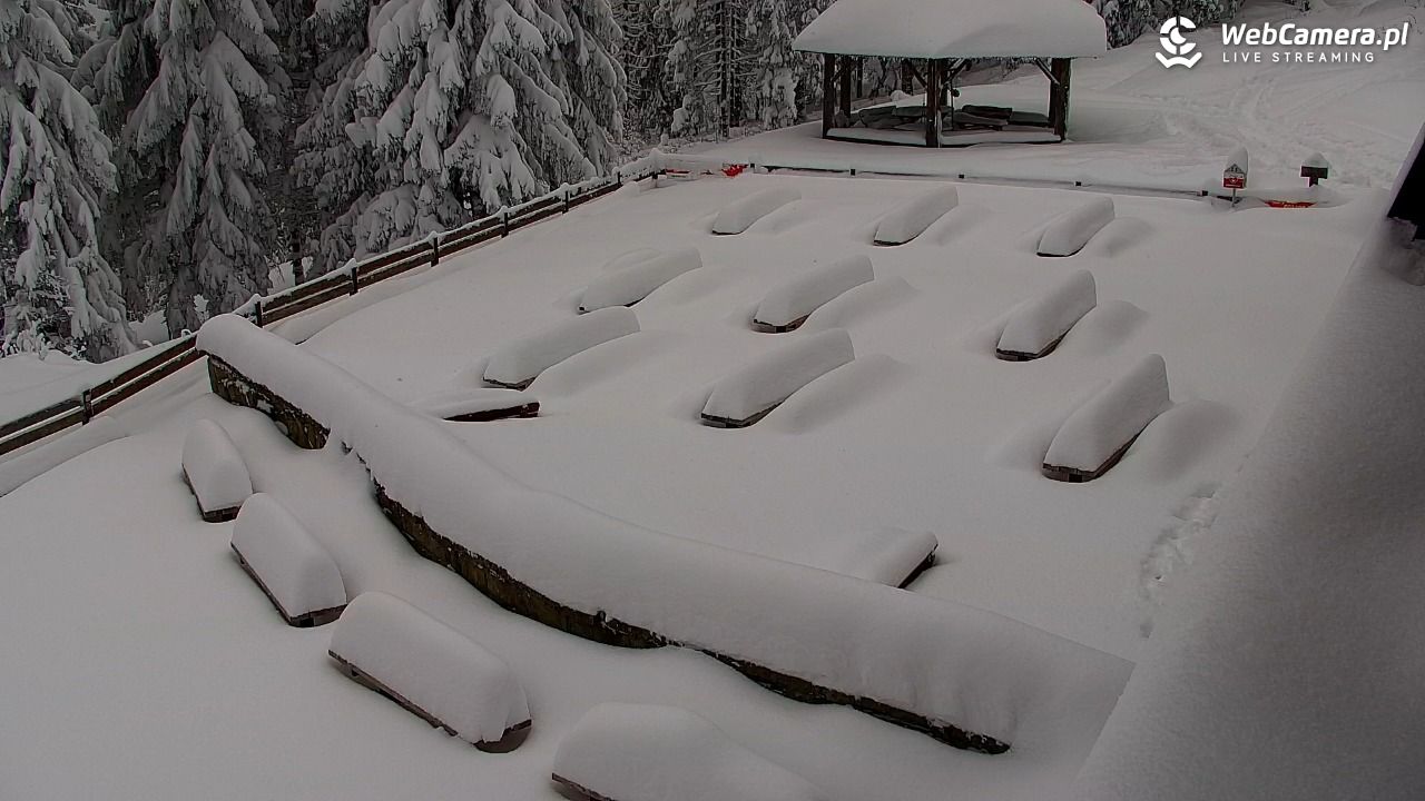 Turbacz - Gorce - 12 styczeń 2026, 13:26