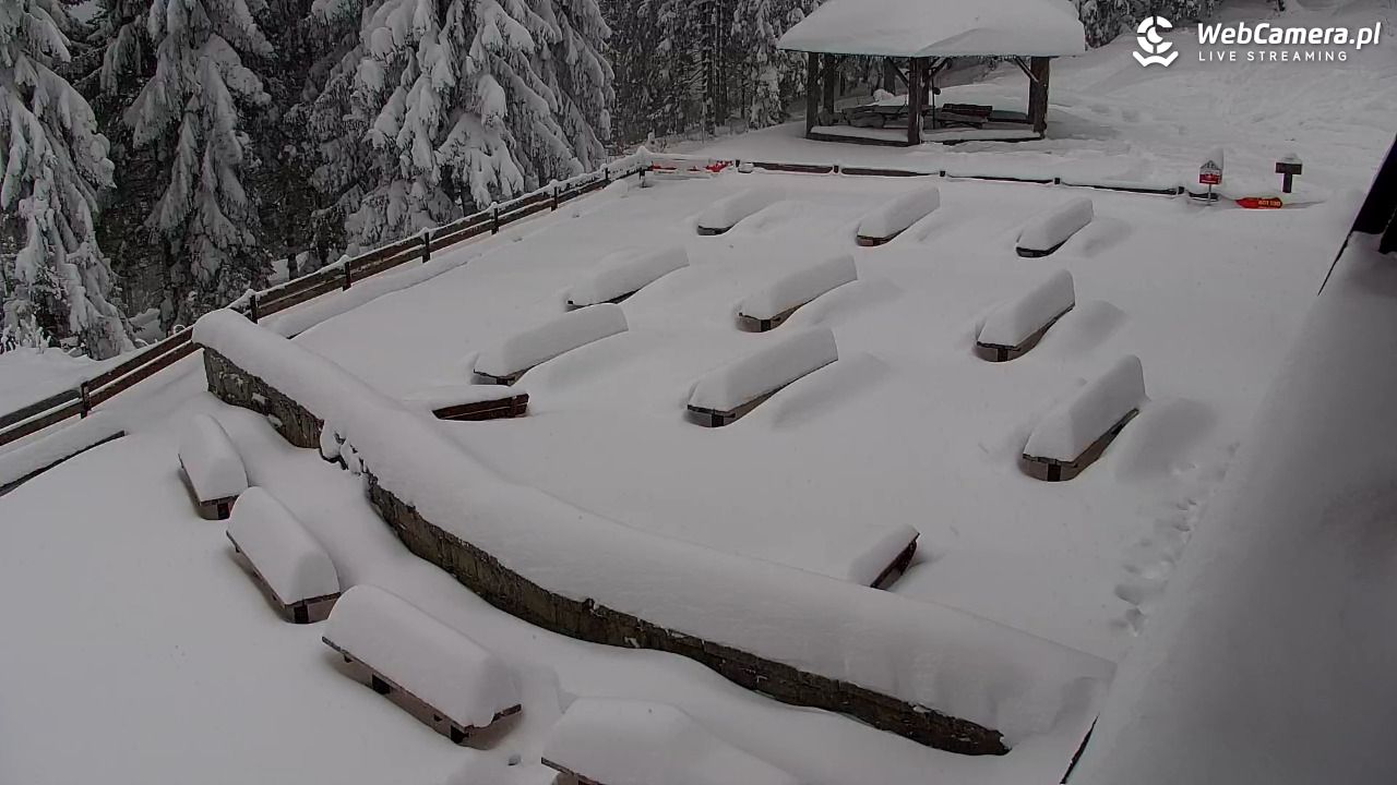 Turbacz - Gorce - 13 styczeń 2026, 08:33