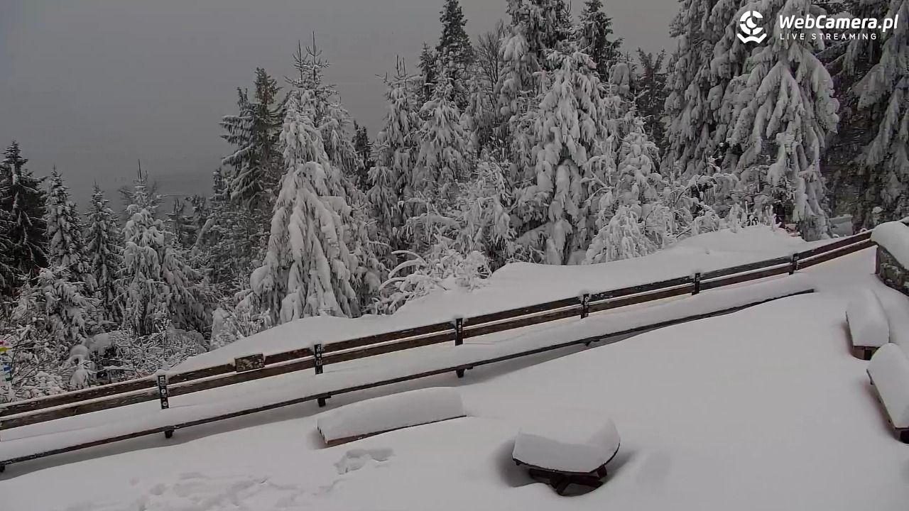Turbacz - Gorce - 13 styczeń 2026, 15:56