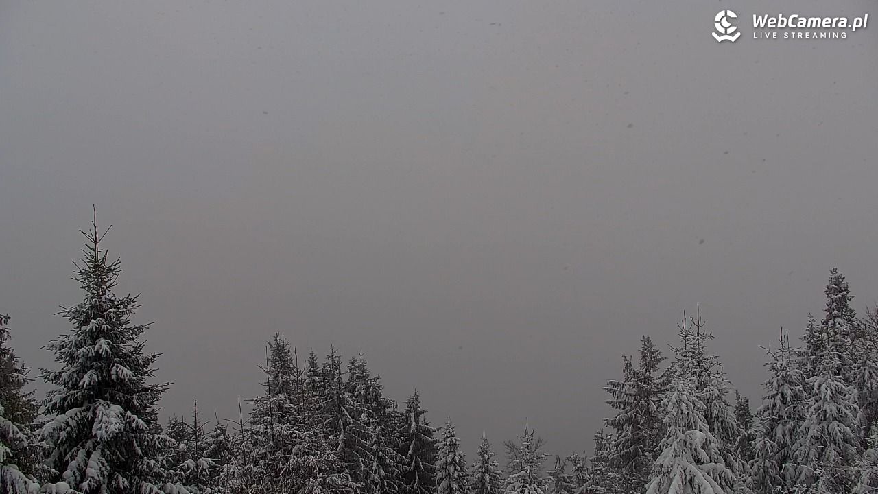 Turbacz - Gorce - 11 styczeń 2026, 09:00