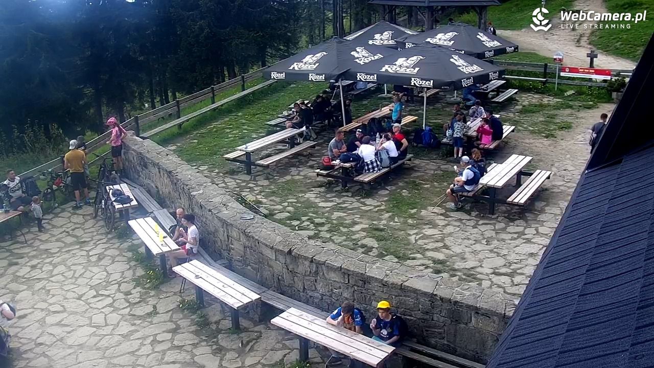Turbacz - Gorce - 01 czerwiec 2025, 12:38