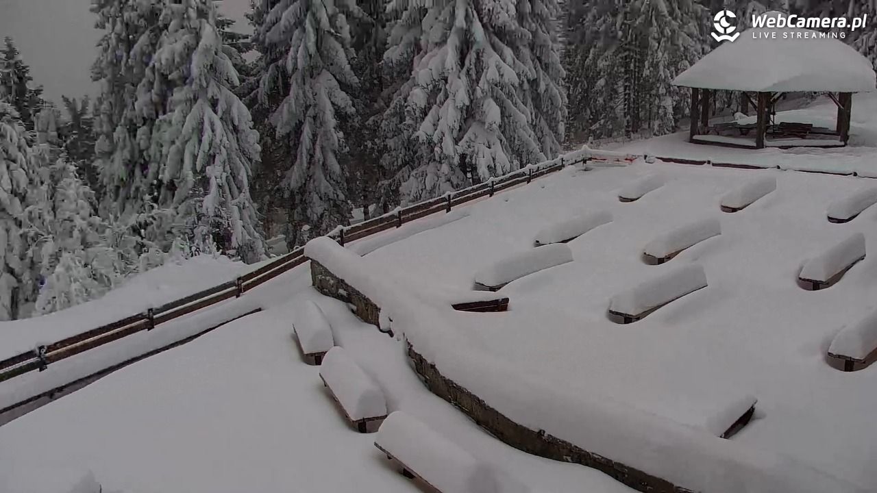 Turbacz - Gorce - 13 styczeń 2026, 15:23