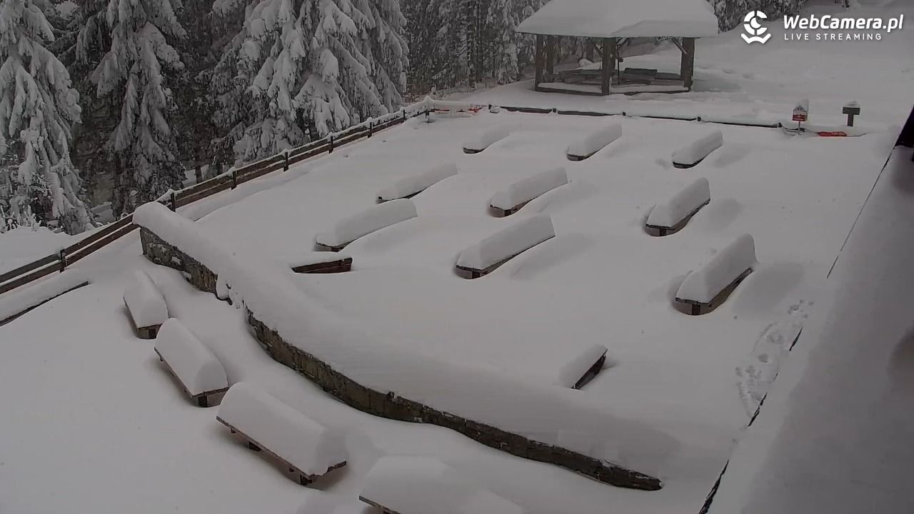 Turbacz - Gorce - 13 styczeń 2026, 13:03
