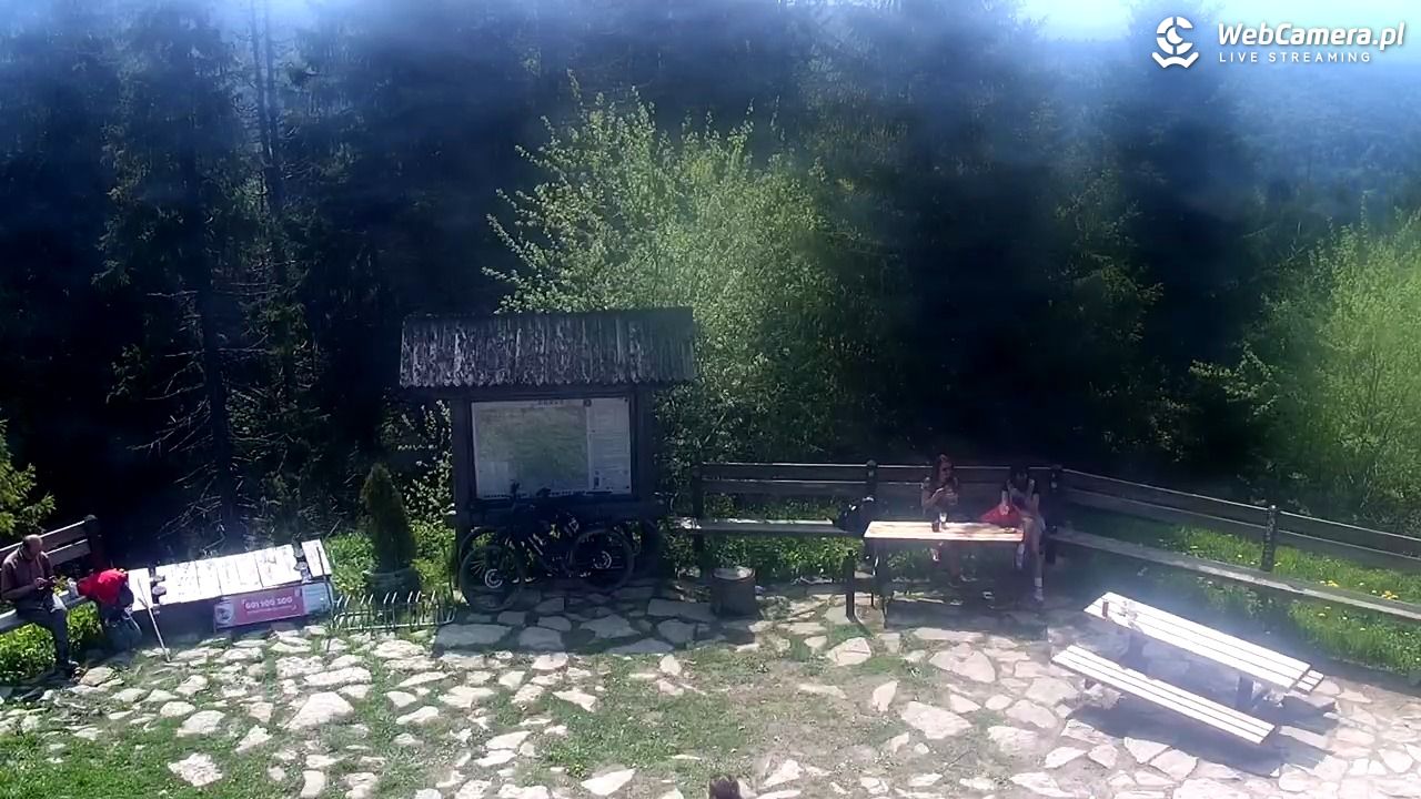 Turbacz - Gorce - 01 czerwiec 2025, 09:58