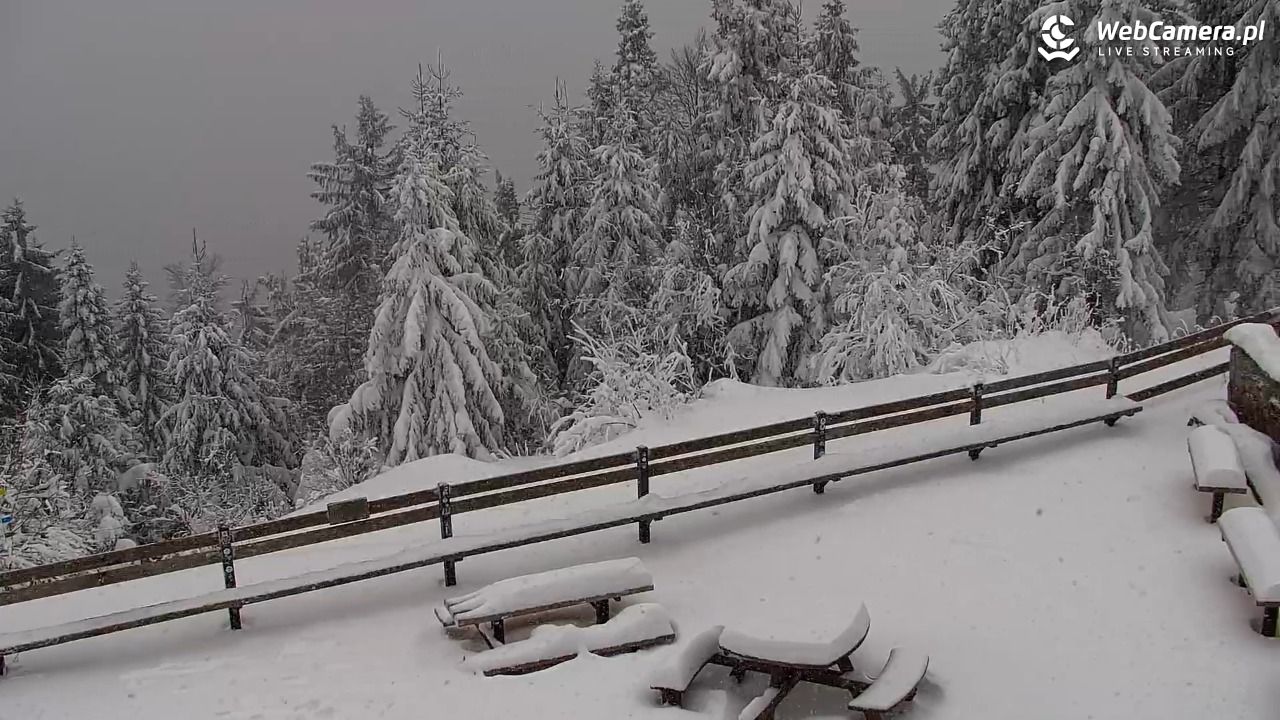 Turbacz - Gorce - 11 styczeń 2026, 10:33