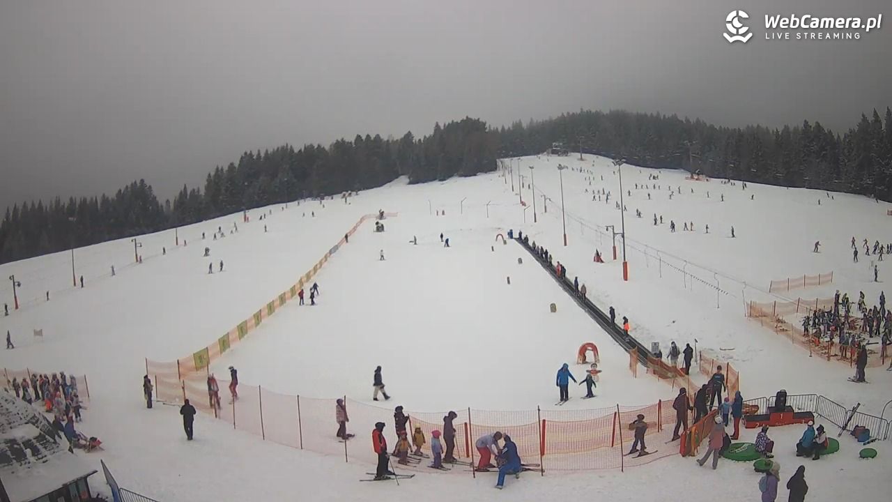 TYLICZ.ski - widok na orczyk - 29 styczeń 2026, 11:47